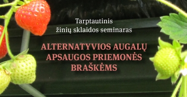 2025-03-06 anonsas mažas 01-08326c66cb613acaf09dade1e3fe1e76.jpg